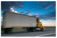 Services: Sprintline