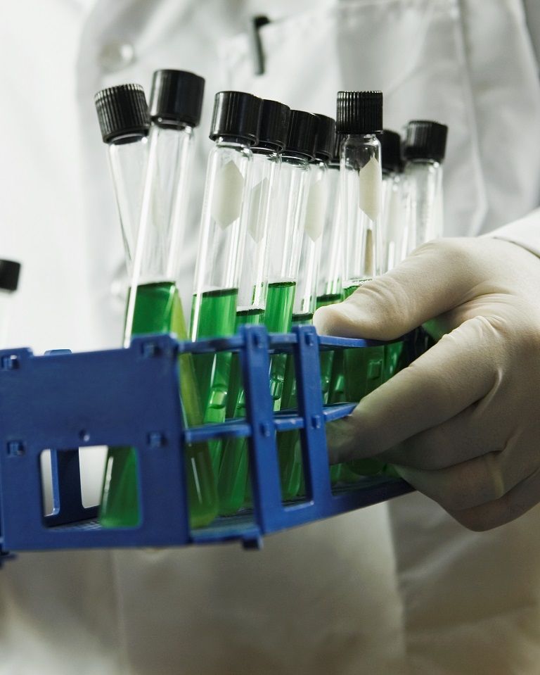 Case Study & Speciality Chemical Corp Image